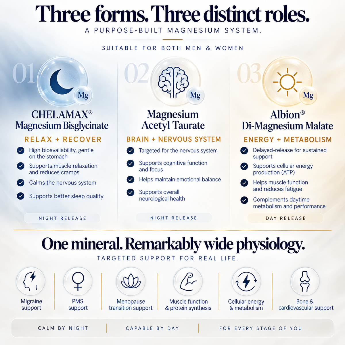 Magnesium Evolution